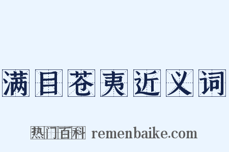 满目苍夷近义词是什么意思的图片